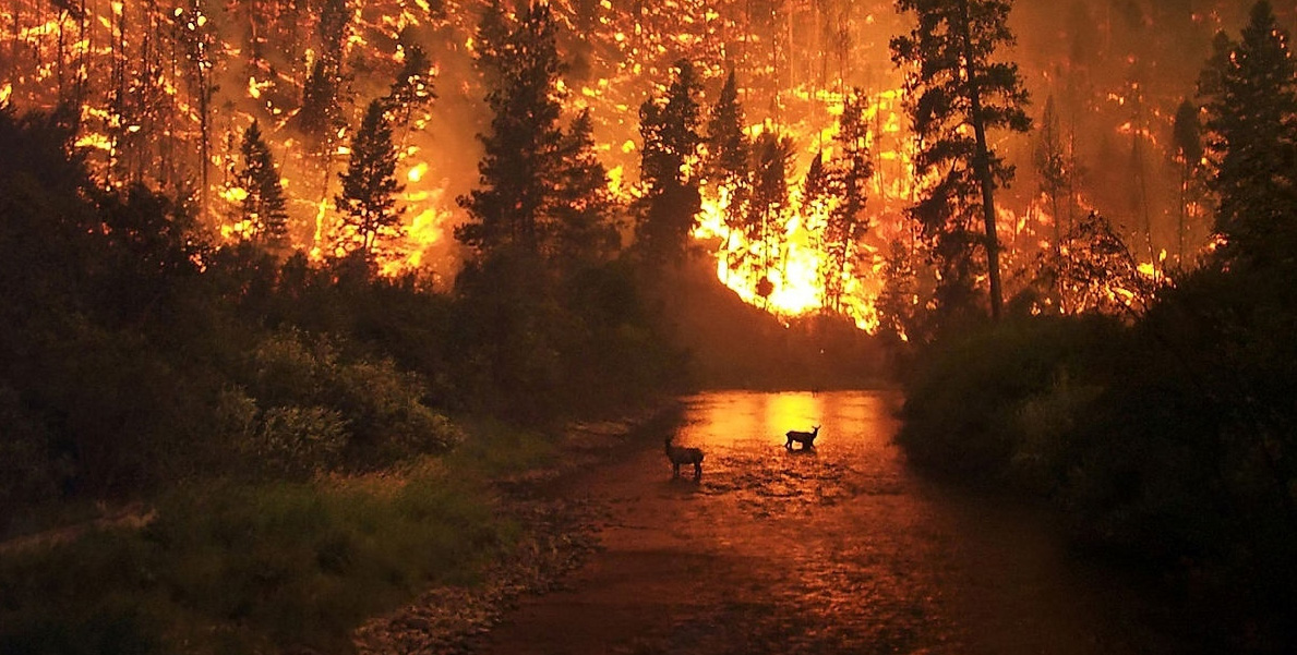 Krasnoyarsk.sm-news.ru